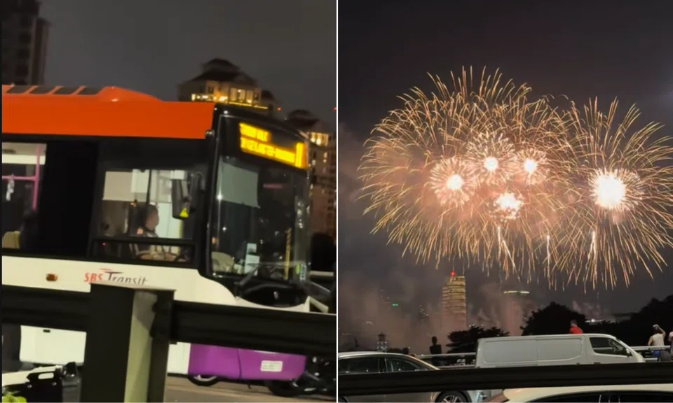 Although many praised the bus captain for stopping to let passengers watch the fireworks, others suggested that he may have been stuck in traffic.