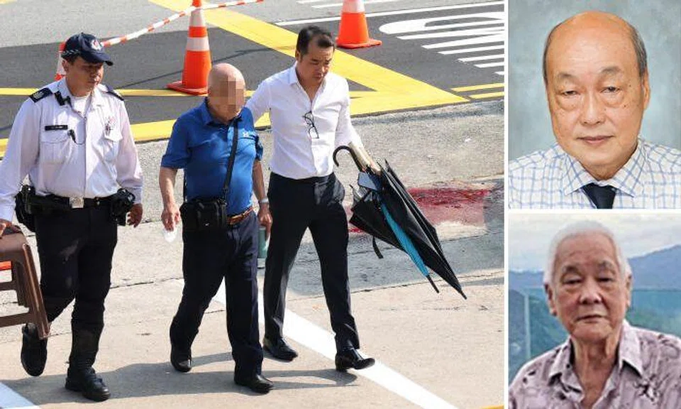 2 elderly men die after getting hit by car, friend who accidentally stepped on accelerator arrested