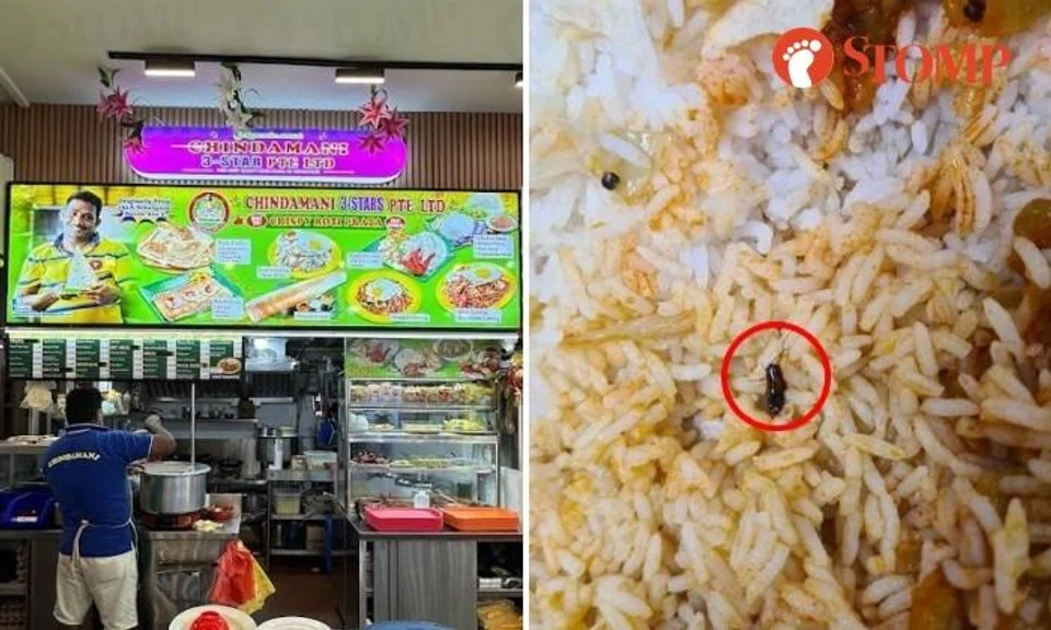 Man sent pics of cockroach in his food to Bedok stall worker who asks: 'Could this be an insect?'