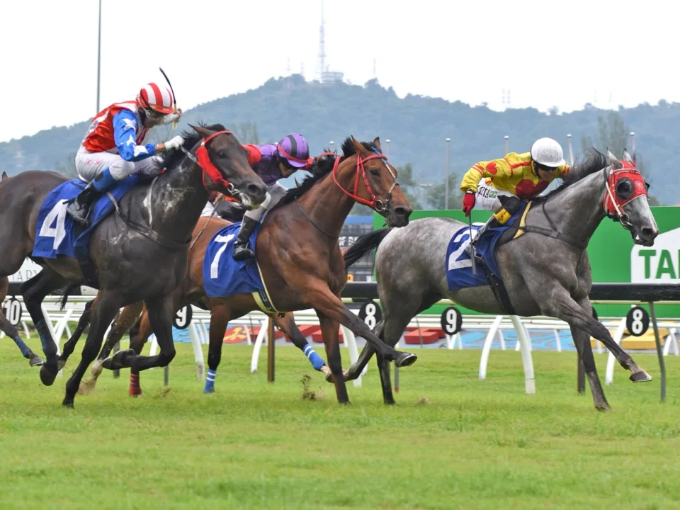 Energy Baby (Andre da Silva) outbattling Emerald Lisi (Nuqman Rozi, No. 7) and Big Union (Harmeet Singh Gill, No. 4) to gain victory in the Class 2 contest (1,400m) at Sungai Besi on April 27.