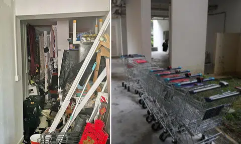 Having filled his flat and corridor, Bedok North hoarder 'stores' supermarket trolleys in void deck