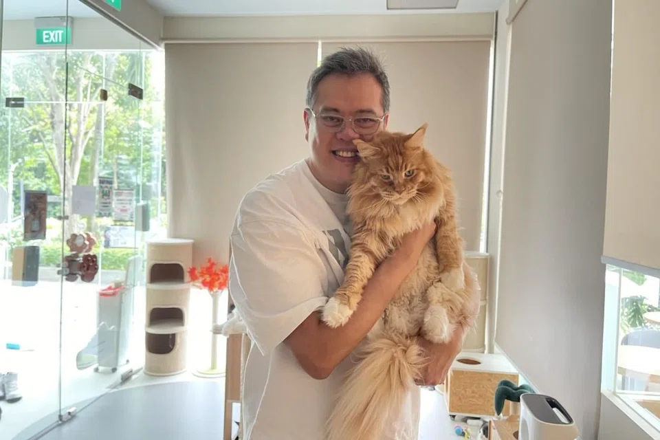 Mr Matthew Poh, managing founder of TCE at the Star Vista outlet, which doubles as a cat cafe. 