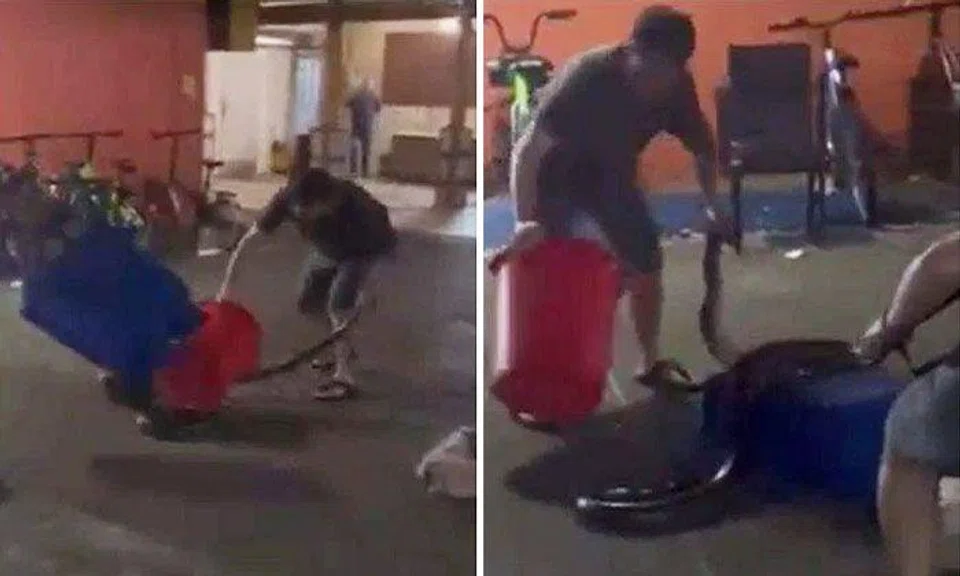 The video shows the men allegedly using plastic pails and crates to hit a reticulated python at Boon Lay Place Market and Food Village. PHOTOS: SCREENGRAB FROM ACRES/FACEBOOK
