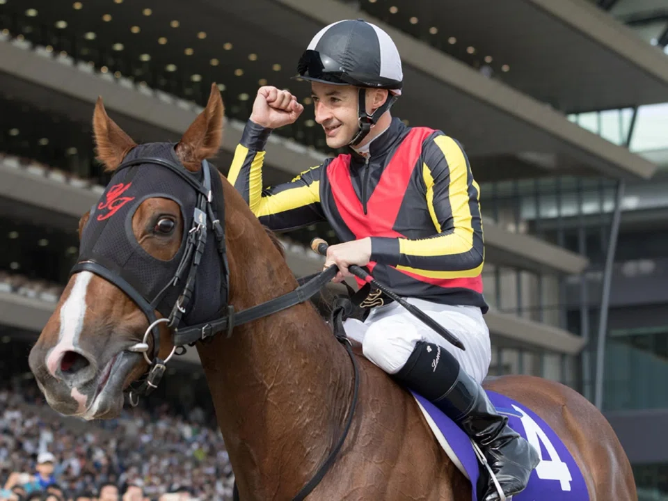 Christophe Lemaire will ride Brede Weg in the Dubai Turf.
