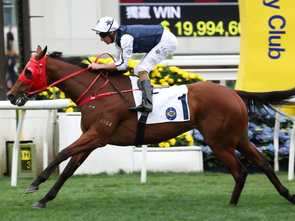 Hugh Bowman enjoying an armchair ride in Fast Network's easy win in the Class 2 Barker Handicap (1,200m) at Sha Tin on March 30. The Australian recombines with the Dennis Yip-trained galloper in the last race at Sha Tin on May 10.
