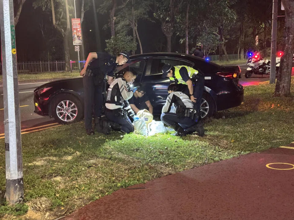 Dozens of vapes.found in backpack.