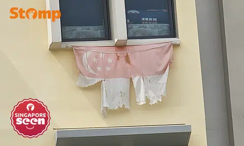 ‘Disrespectful’: Stomper asks if torn S’pore displayed at Hougang HDB block complies with guidelines