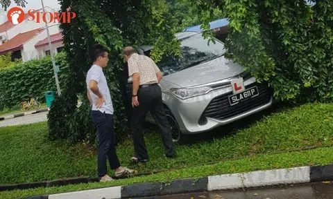 L-plate car ends up on grassy slope in accident along Choa Chu Kang Road