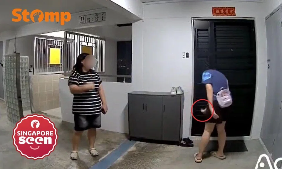Two aunties standing outside a door.