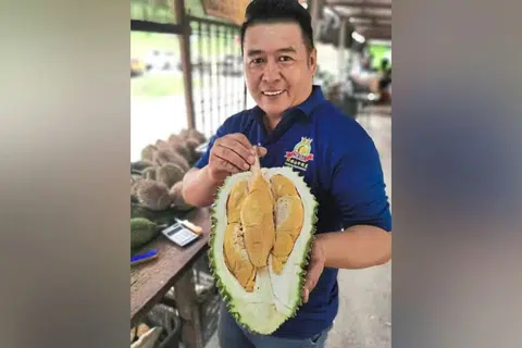 Orchard owner Eric Yeap believes Tupai King is poised to reign supreme this durian season.