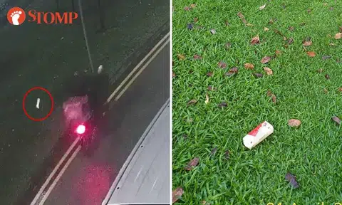'Singapore has lost the battle against litterbugs'