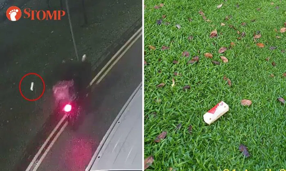 'Singapore has lost the battle against litterbugs'