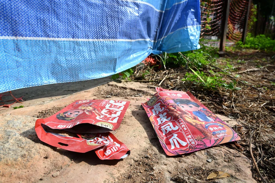 Empty packets of spicy chicken feet snacks were left near the dogs' usual feeding spot.