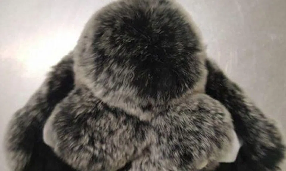 Seen these popular rabbit key chains? Turns out some are made from REAL rabbit fur
