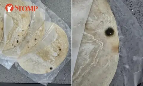 "Stains" on frozen prata.