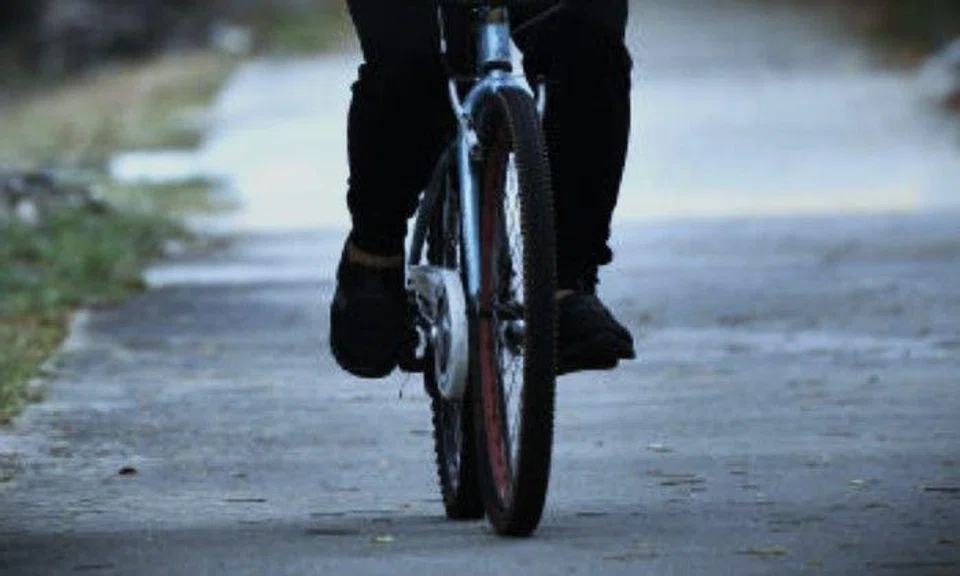 Photo illustration: The Straits Times