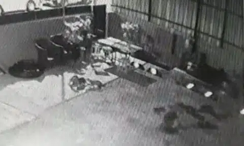 CCTV footage revealed that six otters had invaded the property and eaten six out of the 15 fish in his pond.