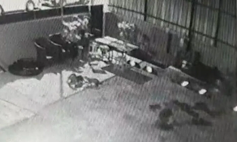 CCTV footage revealed that six otters had invaded the property and eaten six out of the 15 fish in his pond.