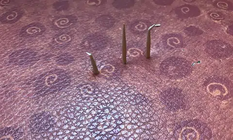 60-year-old man arrested for allegedly piercing bus seats with toothpicks