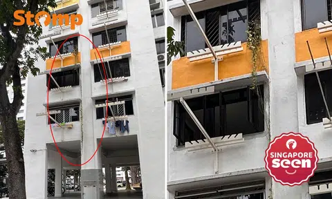 Eunos overgrown plant pruned by town council