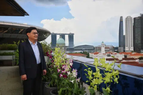 DPM Heng hopes to spend time with family, travel, 'not do any work' in first year of retirement