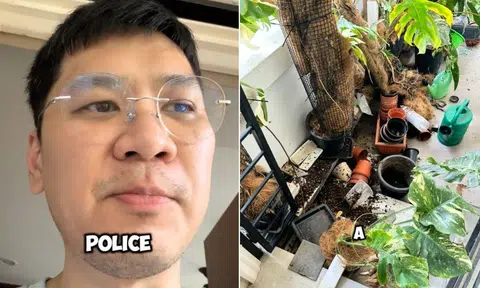 A man was shocked to find his plants allegedly destroyed by an unknown culprit. 