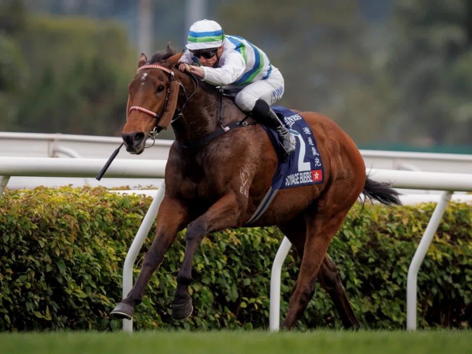 Trainer Ricky Yiu is backing Voyage Bubble to make a rare clean sweep of Hong Kong’s Triple Crown series in the Group 1 Standard Chartered Champions & Chater Cup (2,400m) at Sha Tin on May 25.