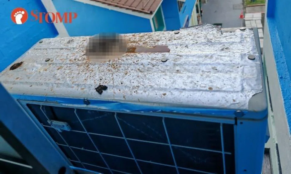Telok Blangah resident hears 'plop plop plop', opens window to find faeces on her air-con unit