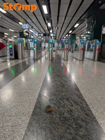 Faeces incident at Outram Park MRT station