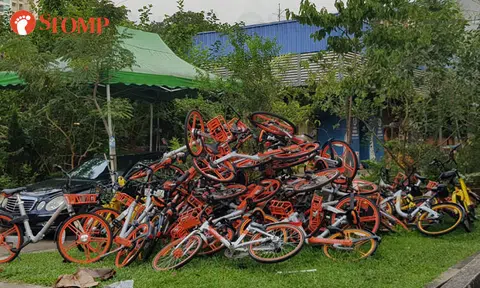 Check out Singapore's newest dumping ground -- for shared bicycles