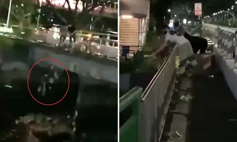 Action to be taken against trio who threw joss paper into canal as offerings to deceased person: NEA