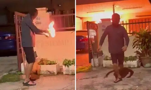 The incident took place at a rental house in Kepong, a suburb in KL. SCREENGRABS: LIM LIP ENG/FACEBOOK