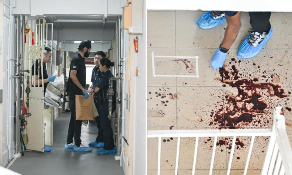 2 charged with murder of 56-year-old man killed in fight at Chin Swee Road, knives seized