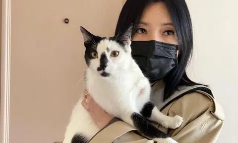 Burglars break into Sharon Au's Paris apartment and take 'everything' except her cat: "I have nothing now"