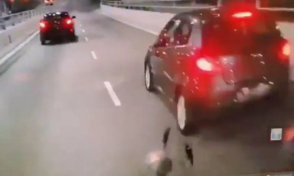 Why did these 2 cars suddenly jam on brakes, causing driver to collide with one of them?