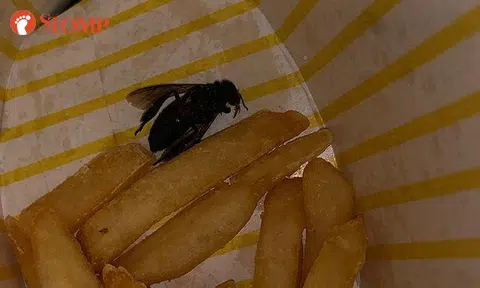 McDonald's looking into case of "bug" allegedly found in fries from Ang Mo Kio Park outlet