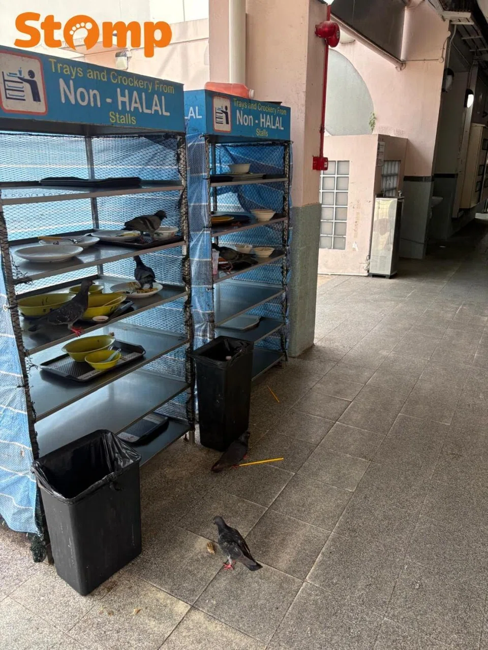 A woman raised safety concerns after dining at Geylang East Market & Food Centre and observing what she felt were “unsanitary and unhygienic” conditions.