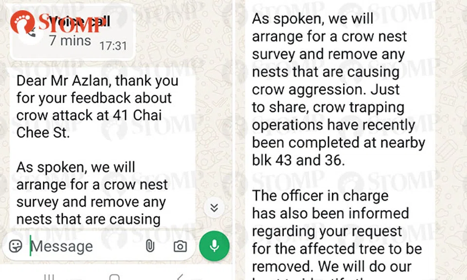 crow issues nparks