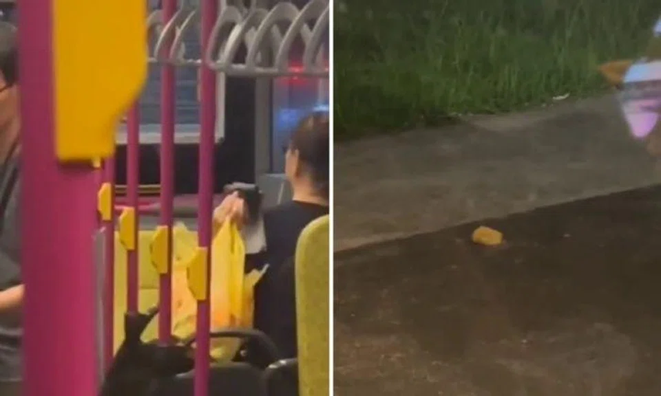 An Instagram video shared by Sgfollows shows a bus passenger tossing a pack of durian onto the road.