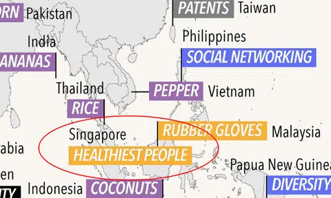 What is Singapore best at? This world map reveals all