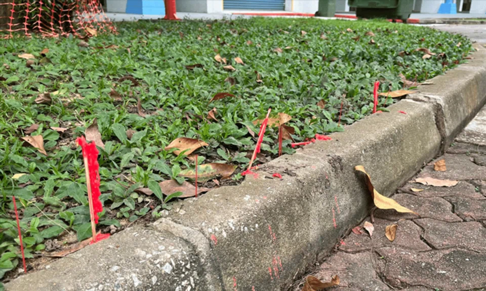 7th month littering