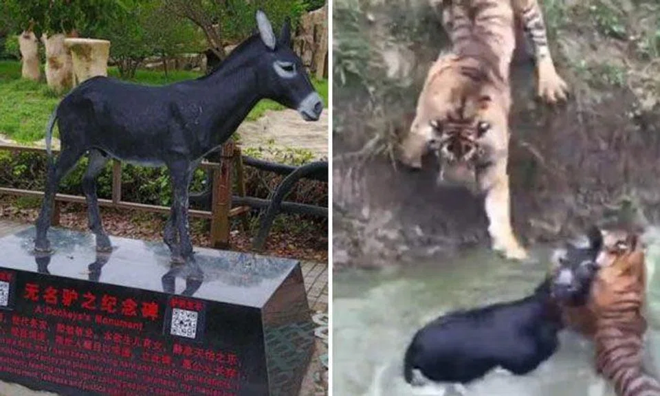 China zoo builds donkey statue to that poor one that was fed alive to tigers