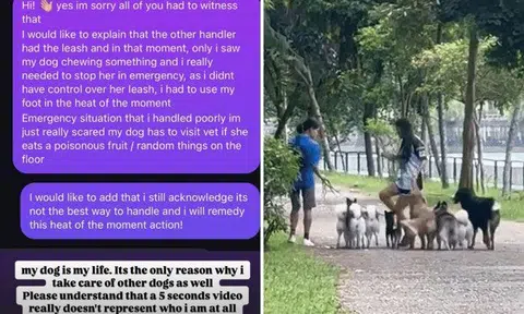 SPCA had received several reports of the case and escalated them to the Animal & Veterinary Service – which is within NParks – for further action. PHOTOS: FACEBOOK, STORMWOOFERS.SG/INSTAGRAM