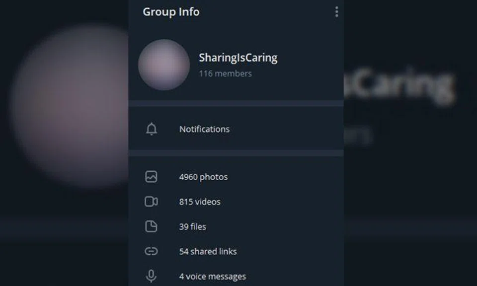 Screenshot via AsiaOne
