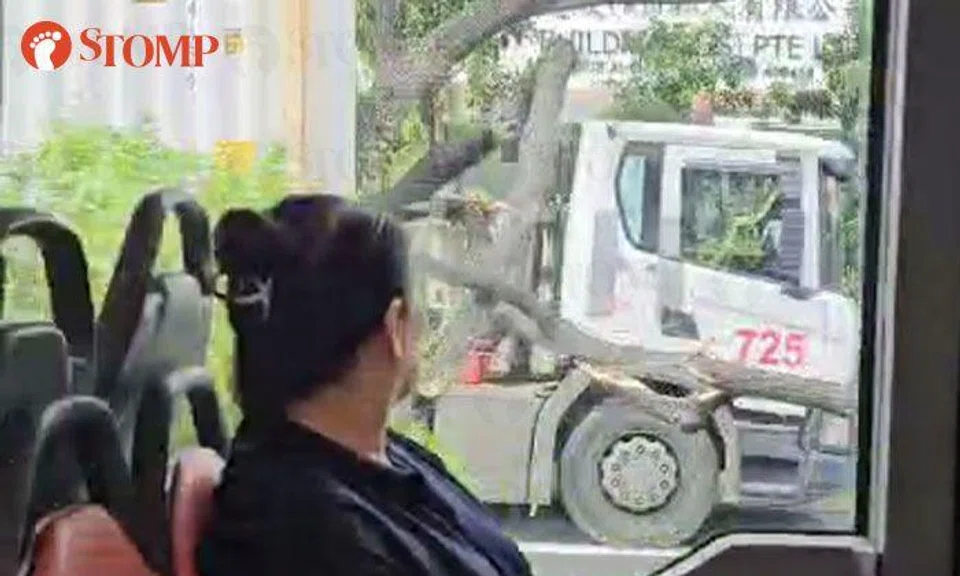 Tree falls on container truck, causing massive traffic jam on PIE