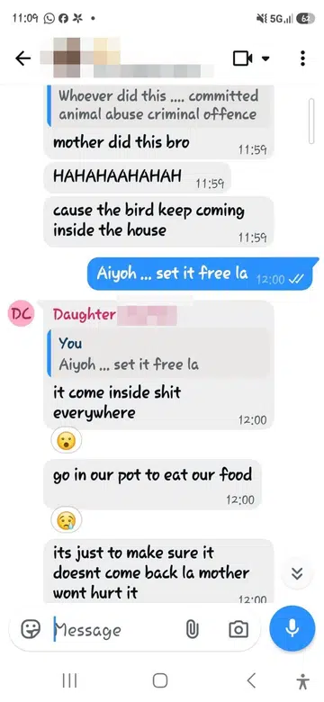 Woman tapes up myna and ‘lectures’ it for entering kitchen in ‘distressing’ FB video, ACRES ‘deeply disturbed’