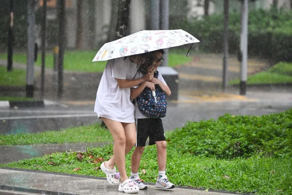Short, thundery showers could fall in some parts of Singapore on a few days in the last fortnight of June.
