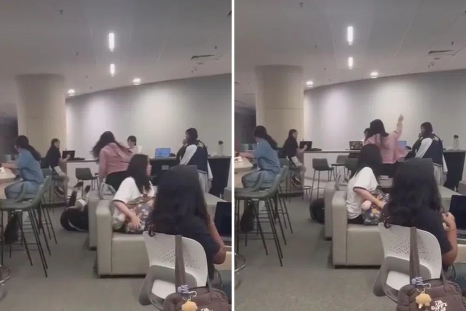 In a video circulating on social media, a woman in a pink hoodie can be seen kicking an older woman who is lying on the ground.