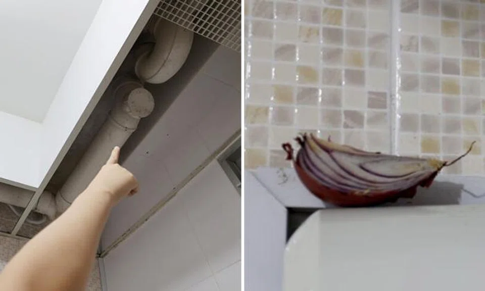 Family resorts to using onions to fight off stench of leaking sewage in Canberra flat toilet