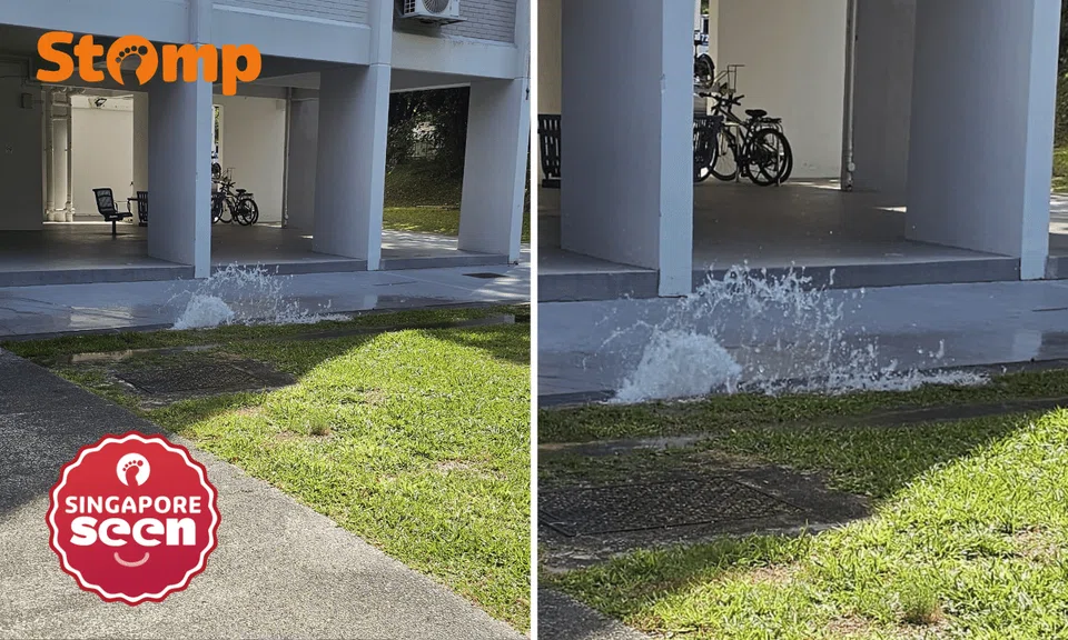 water pipe burst at telok blangah heights